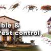 Get Rid of Pests, Like Bed bugs Ants, Roaches, and Mosquitoes Today! thumb 4