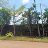 Residential Land at Muthaiga North thumb 11