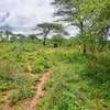 40 Acres Agricultural Land Is For Sale In Masinga Kithyoko thumb 1