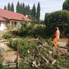 Bush Clearing Services  Nairobi | Athi River | Gatundu | Githinguri | Kajiado | Kiambu | Kikuyu | Kitengela |Kitui | Machakos | Masii | Mwala | Nairobi |Ngong |Oloitoktok |Ongata Rongai | Tala/Kangundo | Wote/Makueni | Naivasha. thumb 1