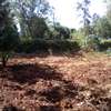 0.5-Acre Plot For Sale in Kugeria Estate thumb 2