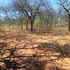 70 acres along Makindu-Wote Rd Makueni County thumb 5
