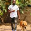 Best Dog Trainers in Kenya in 2022 thumb 7