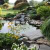Water Feature Installation Services.Vetted & Trusted Professionals.Free Quote thumb 5