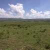 78,800 acres Land for sale thumb 0