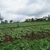 3.25 Acres Of Land For Sale in Ruku/Wangige thumb 8