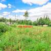 0.16 ha Residential Land at Kamangu thumb 13