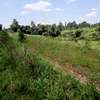 Prime 3 Acre Land For Sale in Shihome,Malava , Kakamega thumb 4