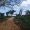 Land in Diani thumb 7