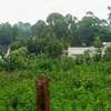 Prime Residential plot for sale in kikuyu, ondiri thumb 3