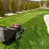 Landscaping Services in Kenya.Low Cost Garden Maintenance thumb 11