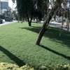Landscaping at affordable Price thumb 4