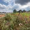 500 m² commercial land for sale in Kikuyu Town thumb 4