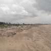 12 Acres Front Row Beach Is For Sale in Ngomeni Malindi thumb 0