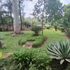 4 Bed House with Garden at Gigiri thumb 14