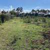 Residential Land in Ndeiya thumb 6