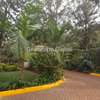 5 Bed House with En Suite in Nyari thumb 9