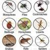 Mosquitoes Fumigation Kitengela thumb 0