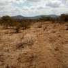 130 Acres of Land For Sale in Ngatataek - Old Namanga Rd thumb 10