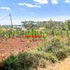 0.1 ha Land at Gikambura thumb 4