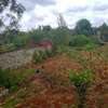 0.5 ac Residential Land at Muthaiga North thumb 2