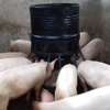 automatic pig feeder,Tyre model thumb 2