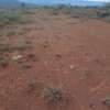 Land for Sale thumb 2