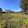 Residential Land in Runda thumb 4