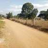 3 Plots For Sale, Machakos thumb 2