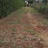 MUTHITHI GARDENS - 0.5 ACRE PLOT FOR SALE thumb 3