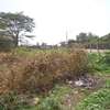 0.0378 ac Land in Kahawa West thumb 4