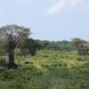 1,012 m² Residential Land at Diani Beach Road thumb 32