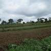 3.25 Acres Of Land For Sale in Ruku/Wangige thumb 9