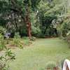 3 Bed House with En Suite at Kitisuru thumb 13