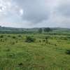 Land in Limuru Town thumb 5
