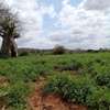 24 acres of land along Athi-River in Kibwezi Makueni County thumb 1