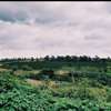 Land in Thika thumb 2