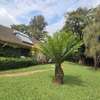 4 Bed House with En Suite in Lavington thumb 1