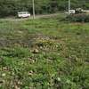 506 m² commercial land for sale in Ongata Rongai thumb 12