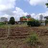 0.2 ha Residential Land in Kikuyu Town thumb 2