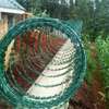 Green razor wire supplier and installer in kenya thumb 2