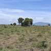 0.125 ac land for sale in Koma Rock thumb 0