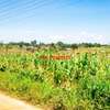 0.1 ha Residential Land at Kamangu thumb 7