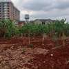 50 by 100 plot for sale in Ruaka thumb 0