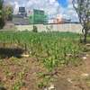 PRIME HALF ACRE LAND FOR SALE IN RUIRU KAMAKIS thumb 0