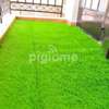 Grass carpet NEW) thumb 1