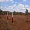 50 by 100 plots in kamangu, kikuyu thumb 2