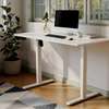 Electric Desk; 1.4 Electric Standing Desk thumb 10