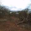 50 acres near ikoyo primary school makindu makueni county thumb 8