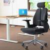 Office Chair : 360° Swivel Office Executive Chair thumb 4